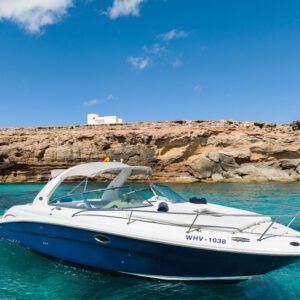 Sea Ray 295 - INFINITY